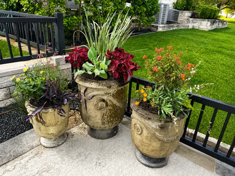 Seasonal Color Enhancements