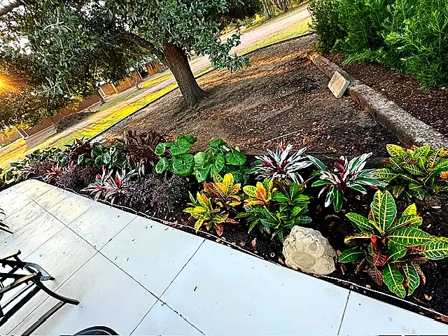 Poolside bed with tropical foliage and a boulder accent — Landscape Design & Maintenance