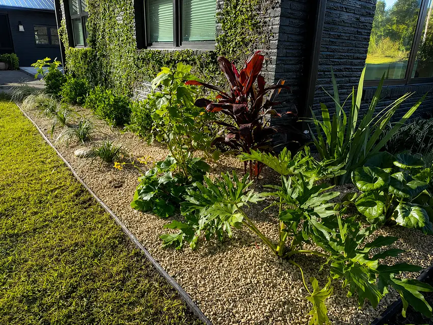 Foundation bed of ferns and grasses along a modern home — Landscape Design & Maintenance