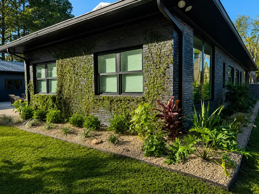 Boxwood border along a dark modern home — Landscape Design & Maintenance