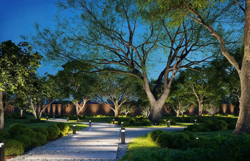 Lit walkway and uplit trees at dusk — Landscape Lighting